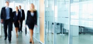 Small Business Interests